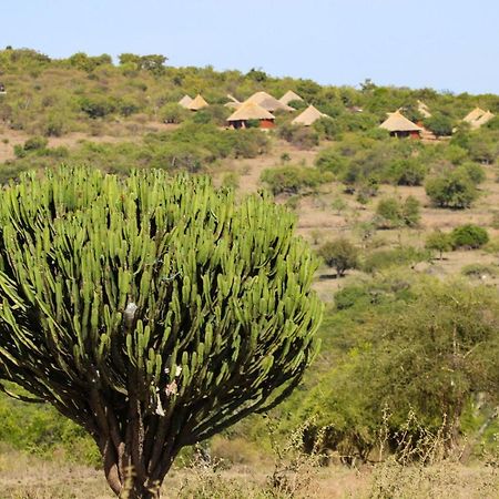 Africa Safari Maasai Boma Camping セレンゲティ エクステリア 写真