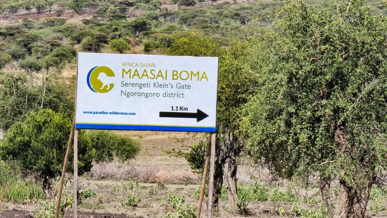 Africa Safari Maasai Boma Camping セレンゲティ エクステリア 写真