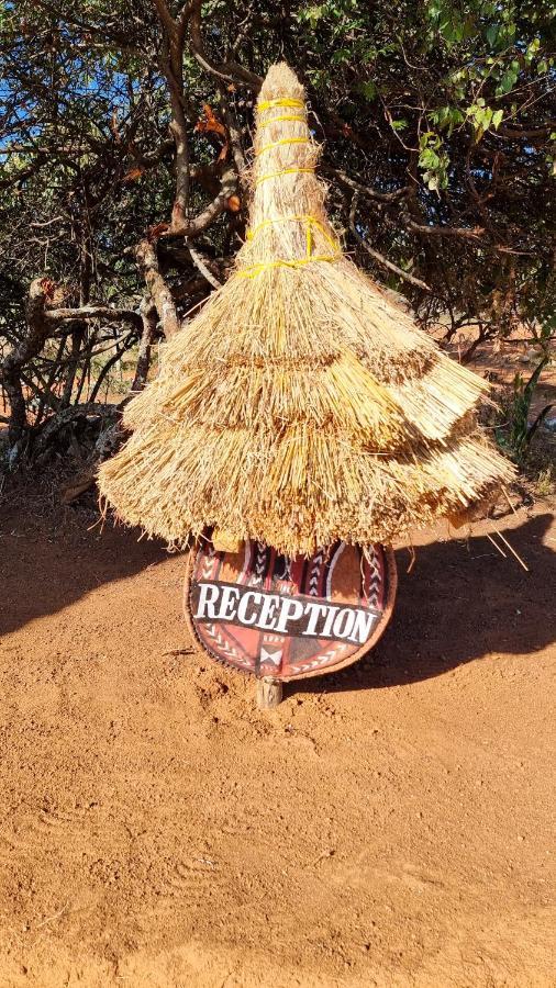 Africa Safari Maasai Boma Camping セレンゲティ エクステリア 写真