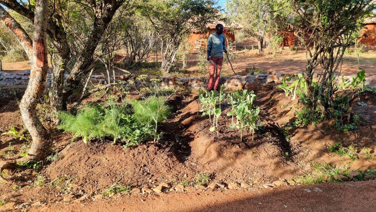 Africa Safari Maasai Boma Camping セレンゲティ エクステリア 写真